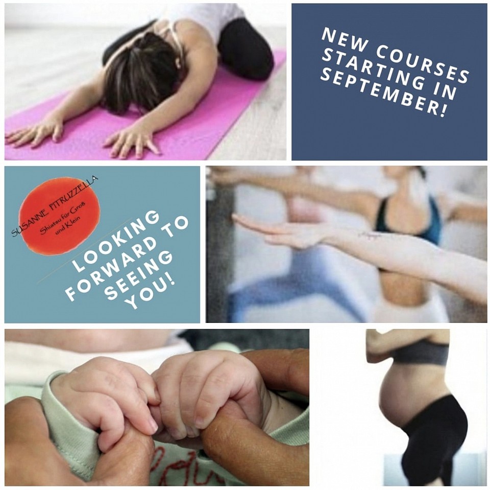 New courses. Autumn 2024. Qi gong. TCM/TJM Exercises. Stretching. Upright posture.