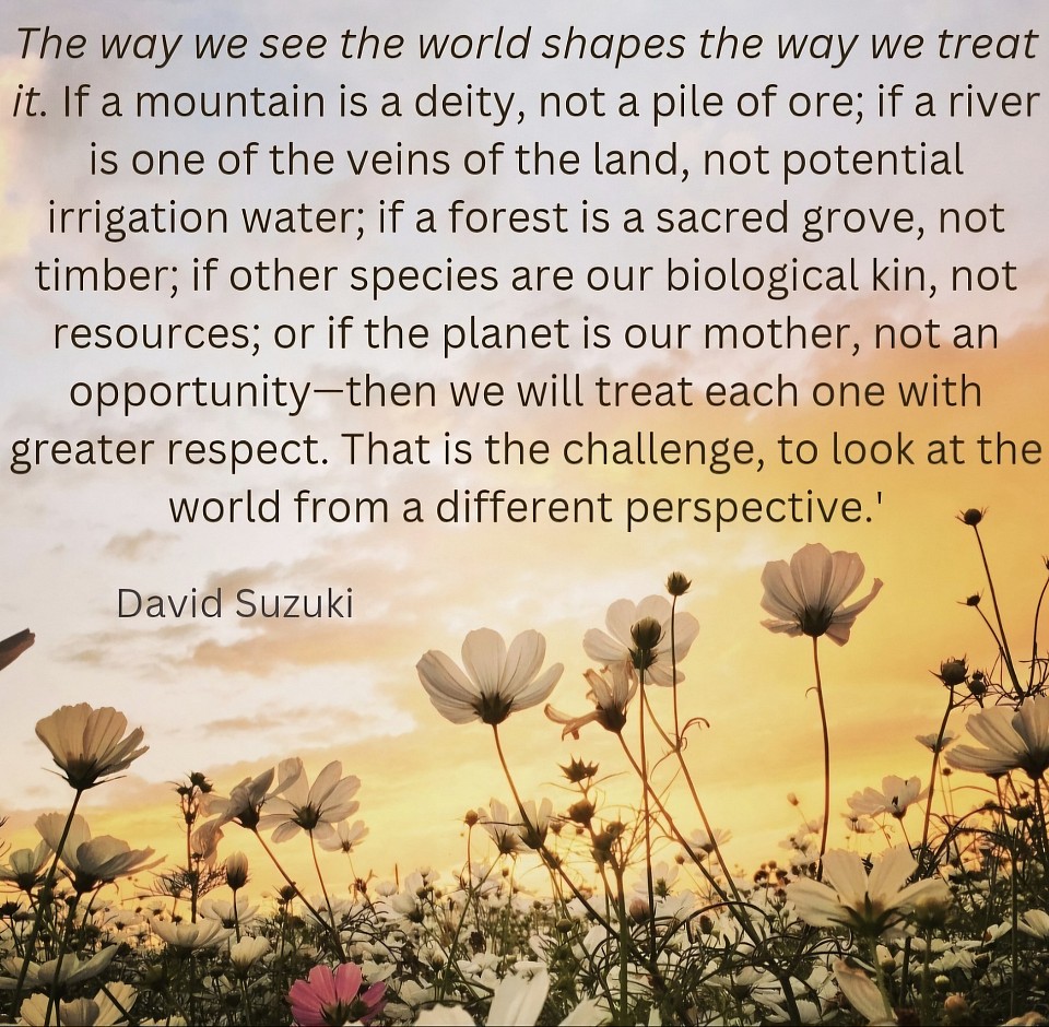 Words of Wisdom. David Suzuki.